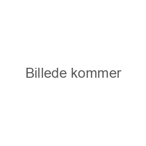 Bakkamera
